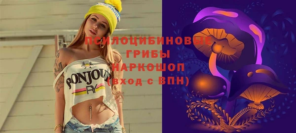 тгк Балахна