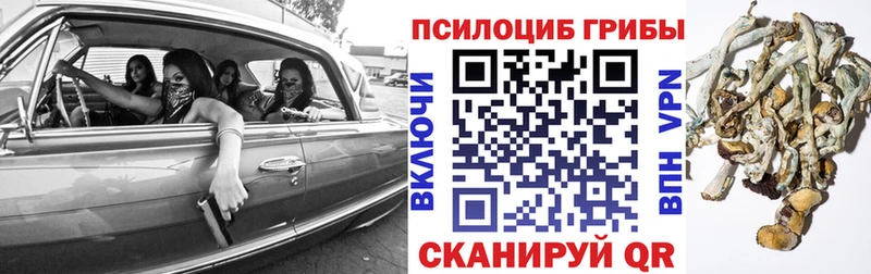 Купить закладки Анжеро-Судженск Галлюциногенные грибы Cubensis